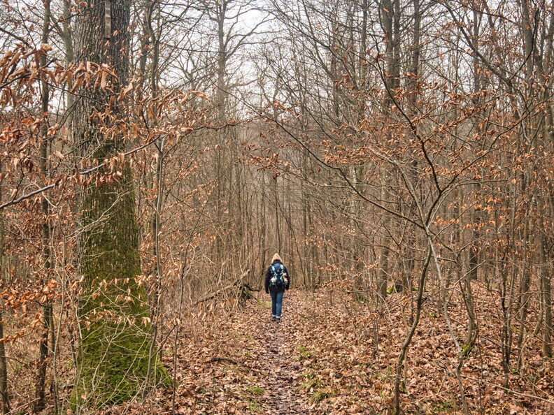 20220123160542-0d81df28